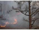 Pozhary_0_138x106