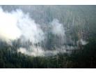 Pozhar_7_138x106