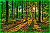 1_120x80